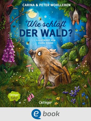 cover image of Wie schläft der Wald?